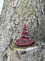 Розподільчий капелюх - мініатюра 2