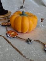 Гарбузик великий - мініатюра 2