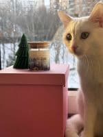 "Пора року" - мініатюра 7