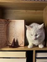 Розподільчий капелюх - мініатюра 6